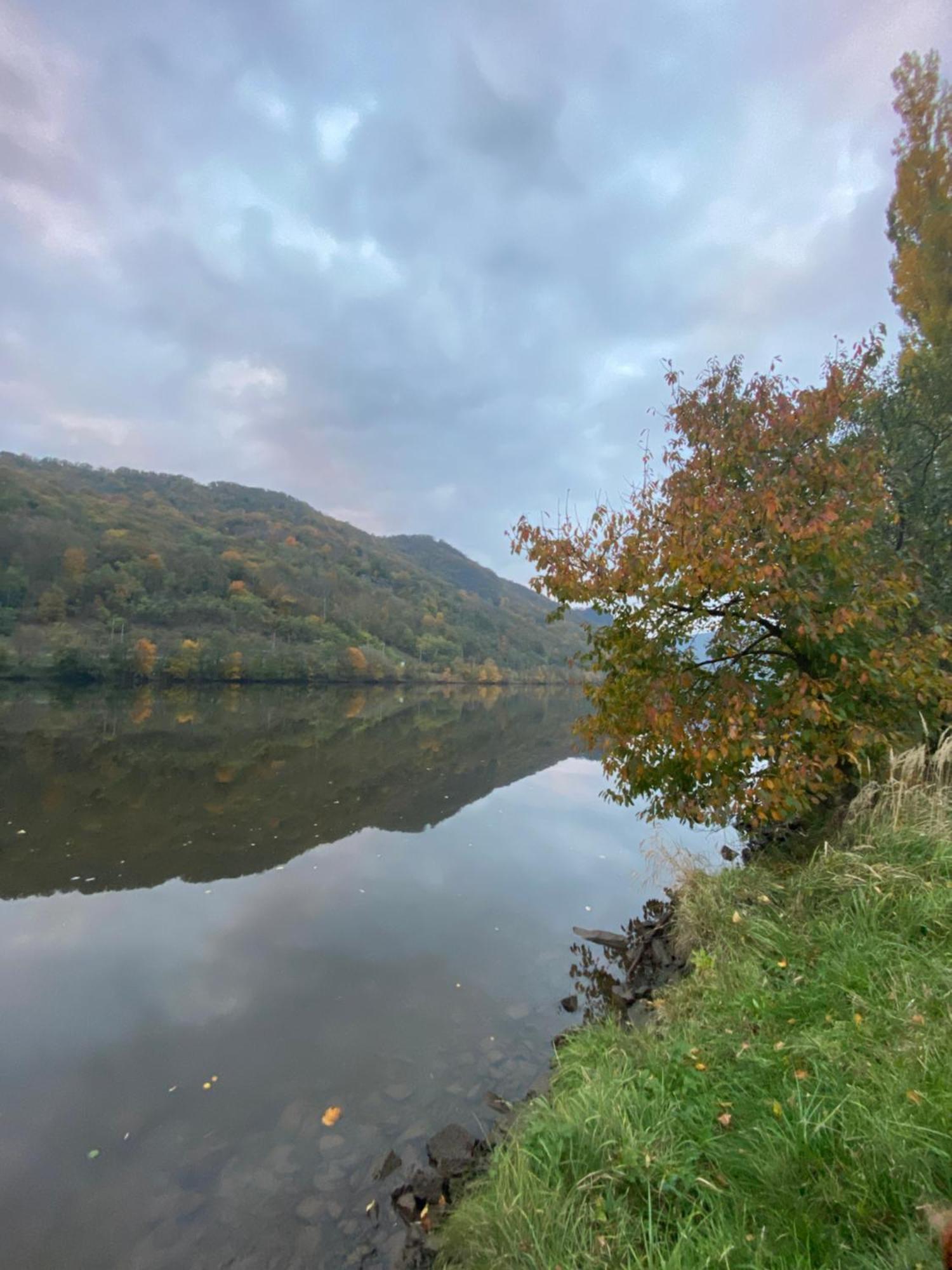 Sebuzinka Bed and Breakfast Ústí nad Labem Eksteriør billede